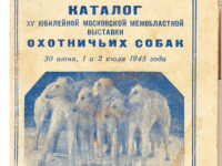 Были высокие денежные призы для охотничьих собак в 1945 году